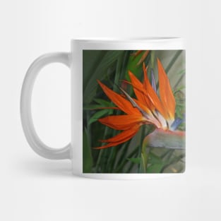 Bird of Paradise Flower Mug